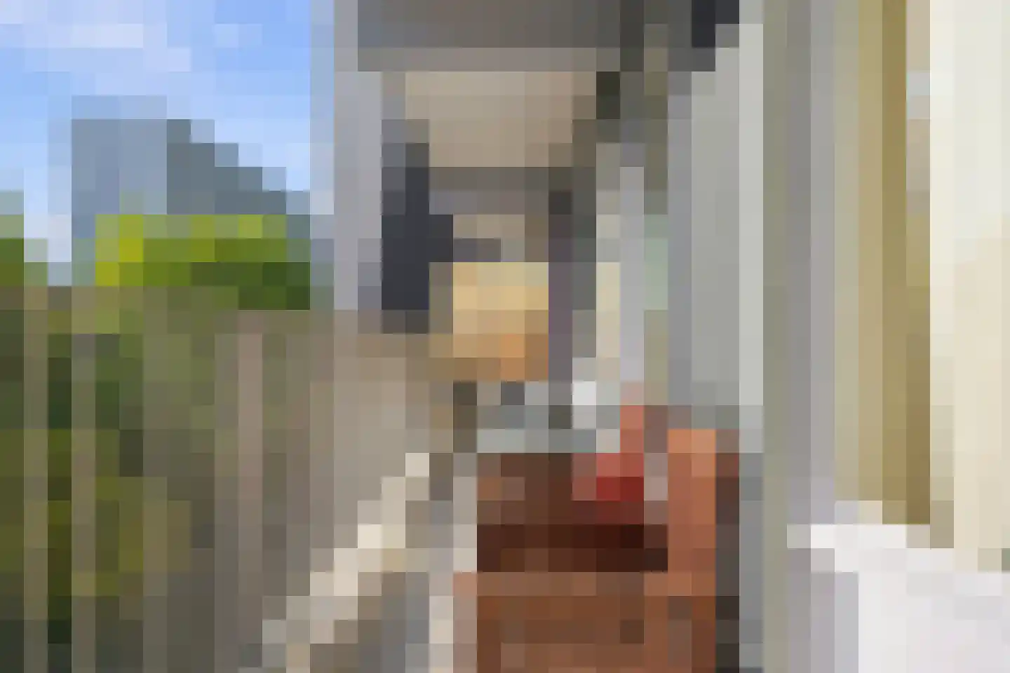 Henri Dunantstraat 33 Brunssum thumbnail 16