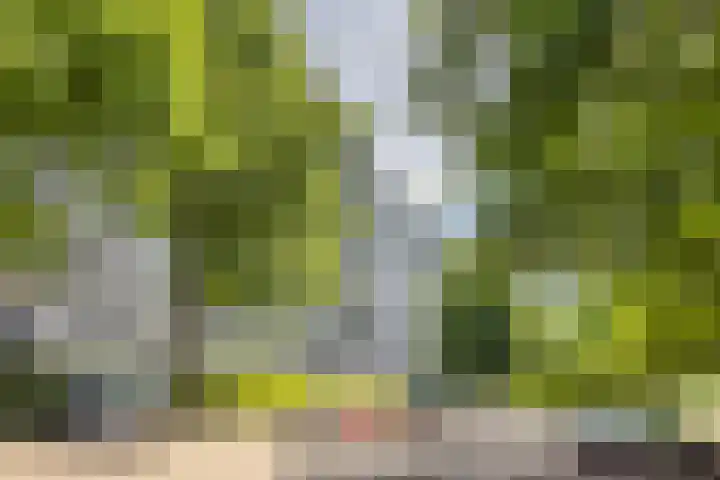 Henri Dunantstraat 339 Brunssum thumbnail 37