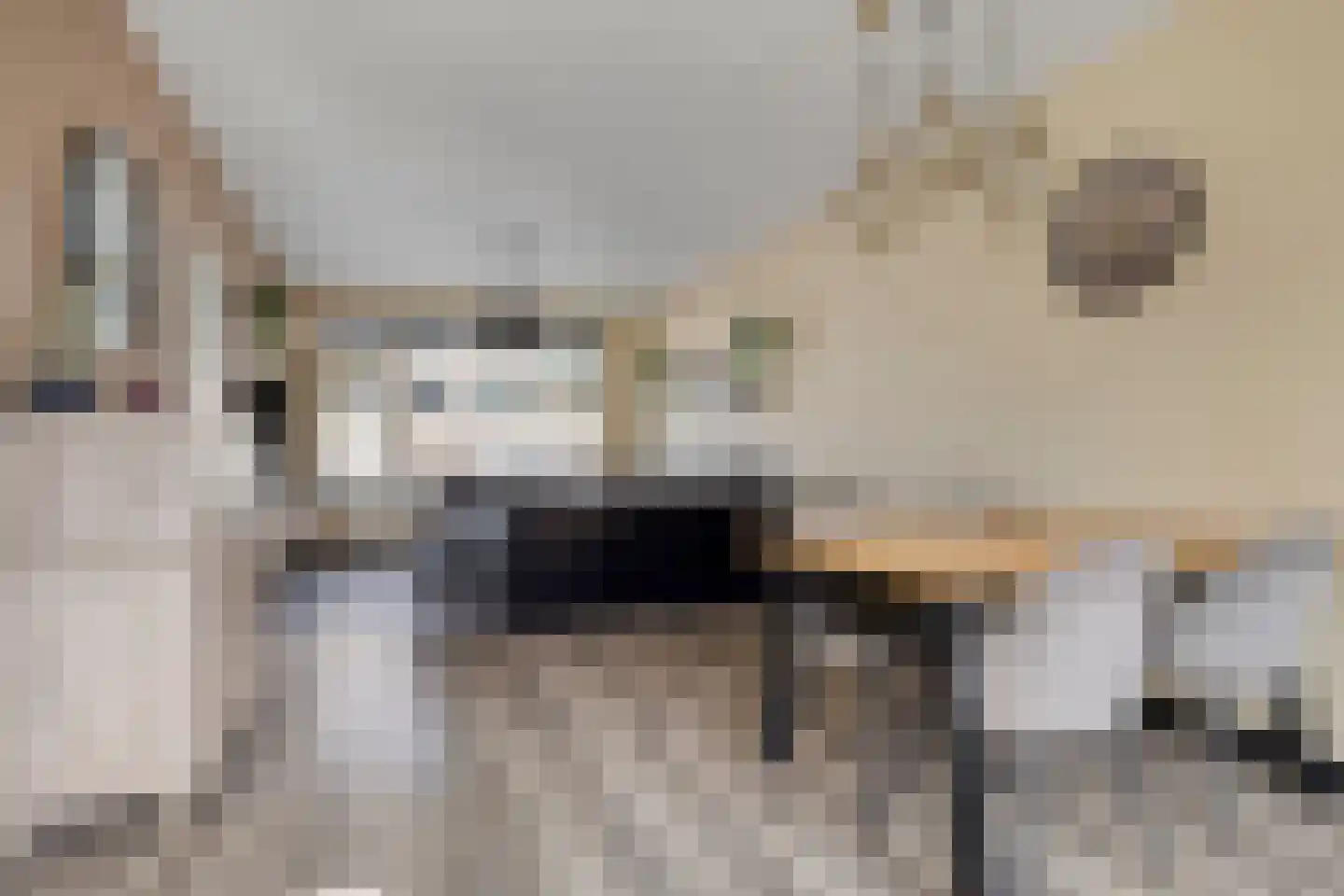 Henri Dunantstraat 34 Purmerend thumbnail 14