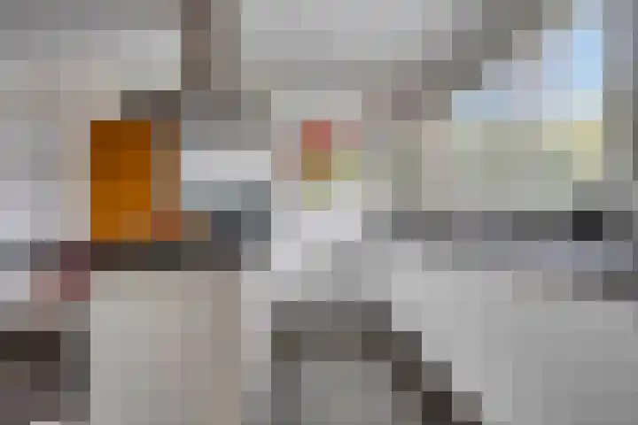 Henri Dunantstraat 4 Sint Anthonis thumbnail 15