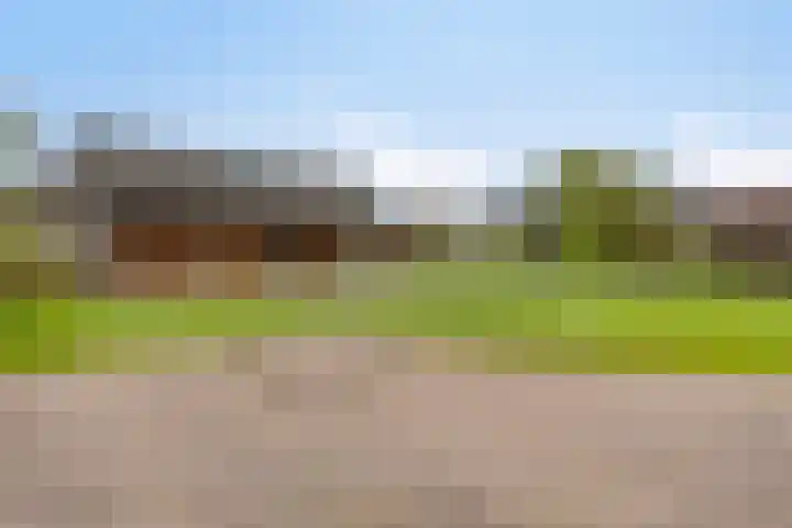 Henri Dunantstraat 4 Sint Anthonis thumbnail 34