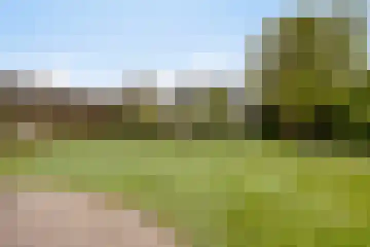 Henri Dunantstraat 4 Sint Anthonis thumbnail 36
