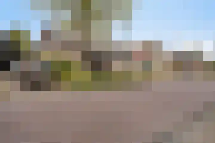 Henri Dunantstraat 4 Sint Anthonis thumbnail 6