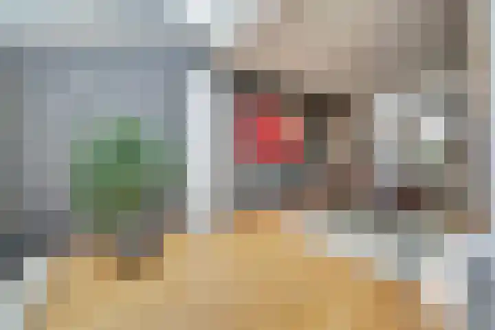 Henri Dunantstraat 5 Hank thumbnail 14