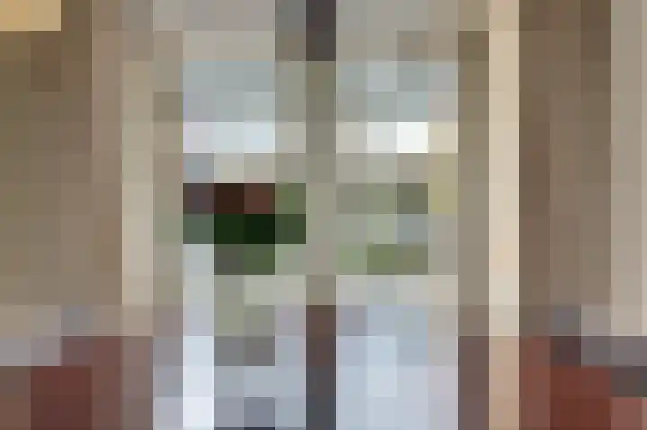 Henri Dunantstraat 5 Hank thumbnail 19