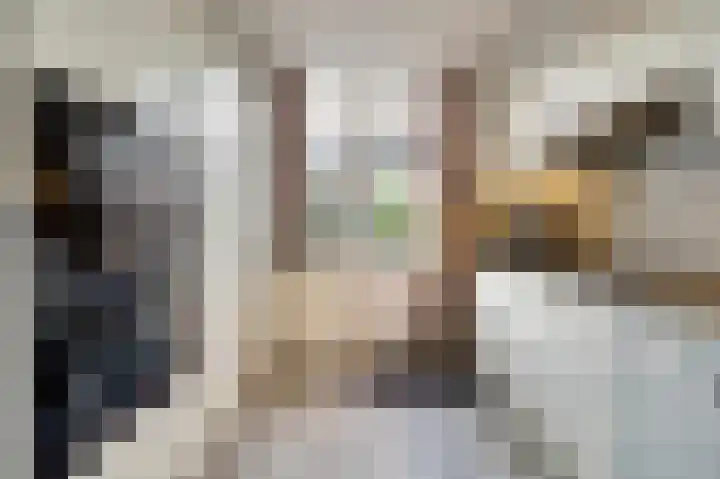 Henri Dunantstraat 5 Hank thumbnail 22