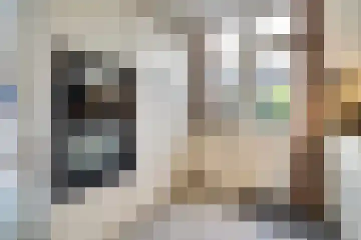 Henri Dunantstraat 5 Hank thumbnail 23