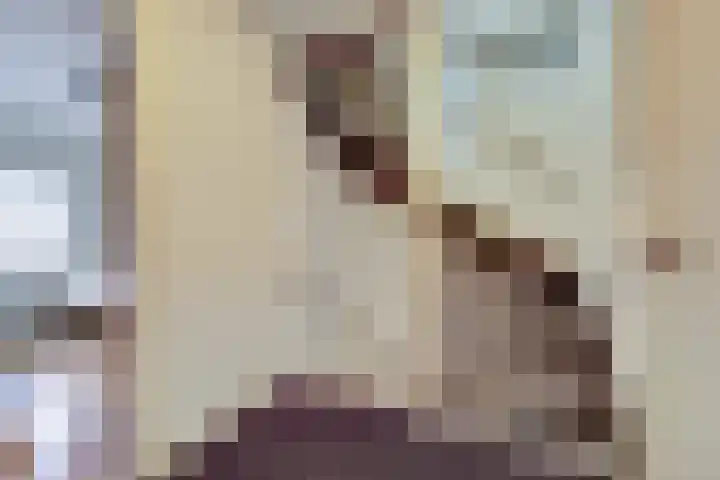 Henri Dunantstraat 5 Hank thumbnail 30