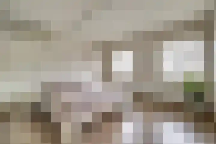 Henri Dunantstraat 5 Hank thumbnail 32