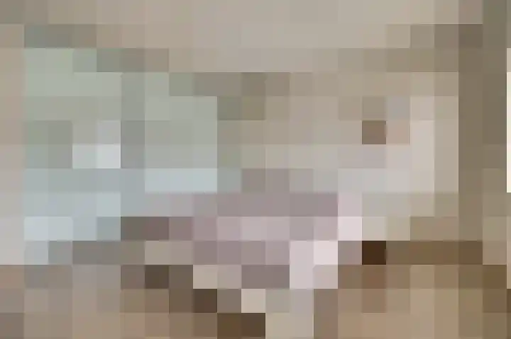 Henri Dunantstraat 5 Hank thumbnail 33