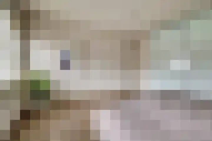 Henri Dunantstraat 5 Hank thumbnail 34
