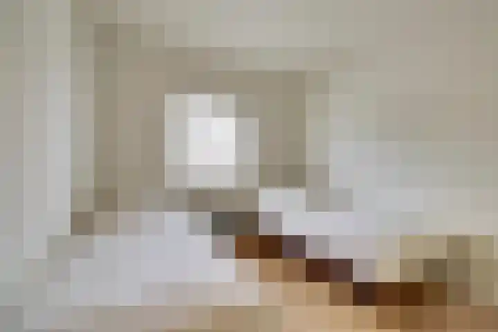 Henri Dunantstraat 5 Hank thumbnail 35