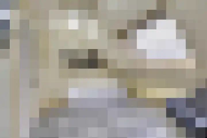 Henri Dunantstraat 5 Hank thumbnail 47