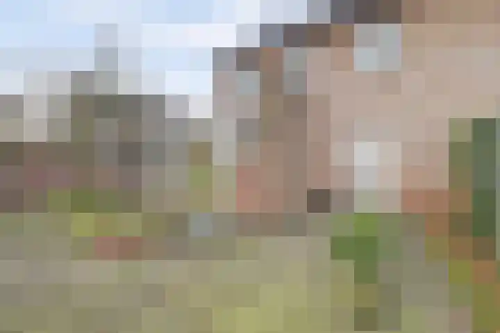 Henri Dunantstraat 5 Hank thumbnail 53
