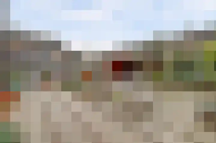 Henri Dunantstraat 5 Hank thumbnail 54