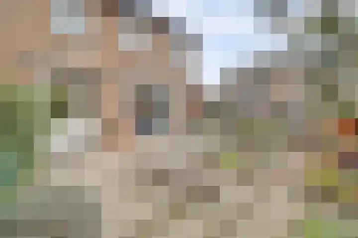 Henri Dunantstraat 5 Hank thumbnail 56