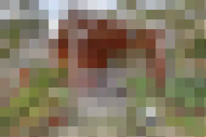 Henri Dunantstraat 5 Hank thumbnail 57