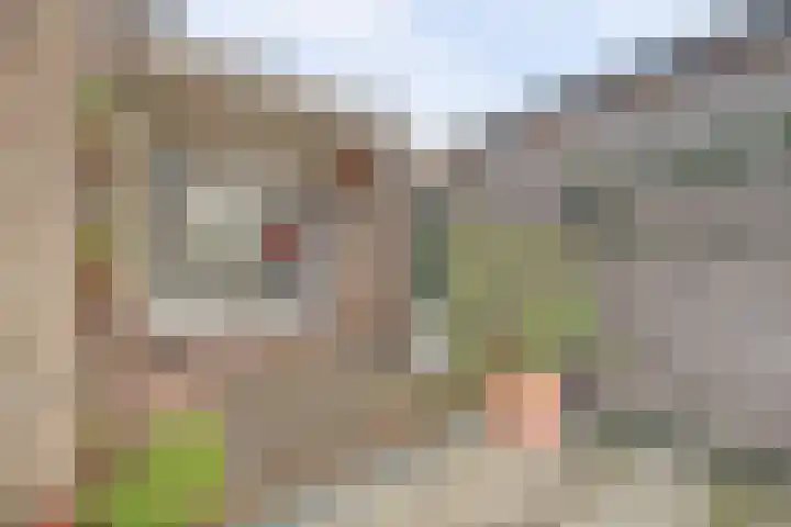 Henri Dunantstraat 5 Hank thumbnail 60