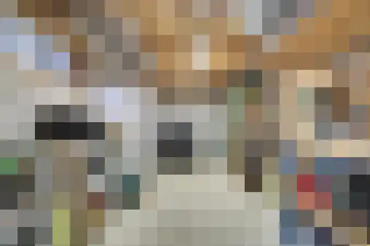 Henri Dunantstraat 5 Hank thumbnail 69