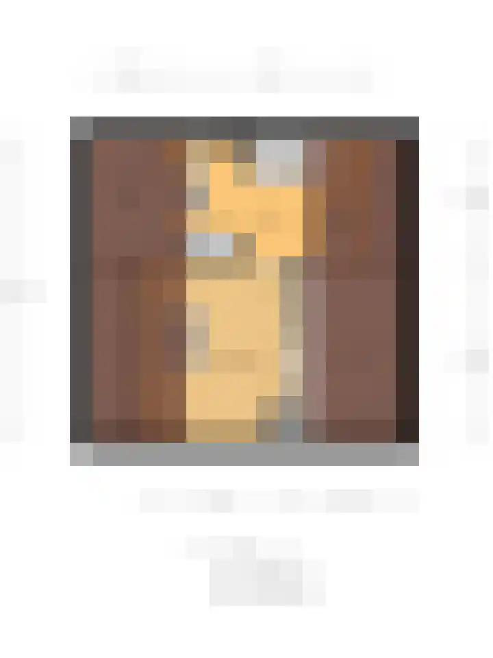 Henri Dunantstraat 5 Hank thumbnail 73