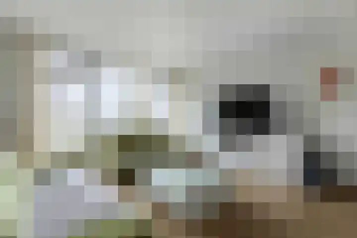 Henri Dunantstraat 57 Brunssum thumbnail 9