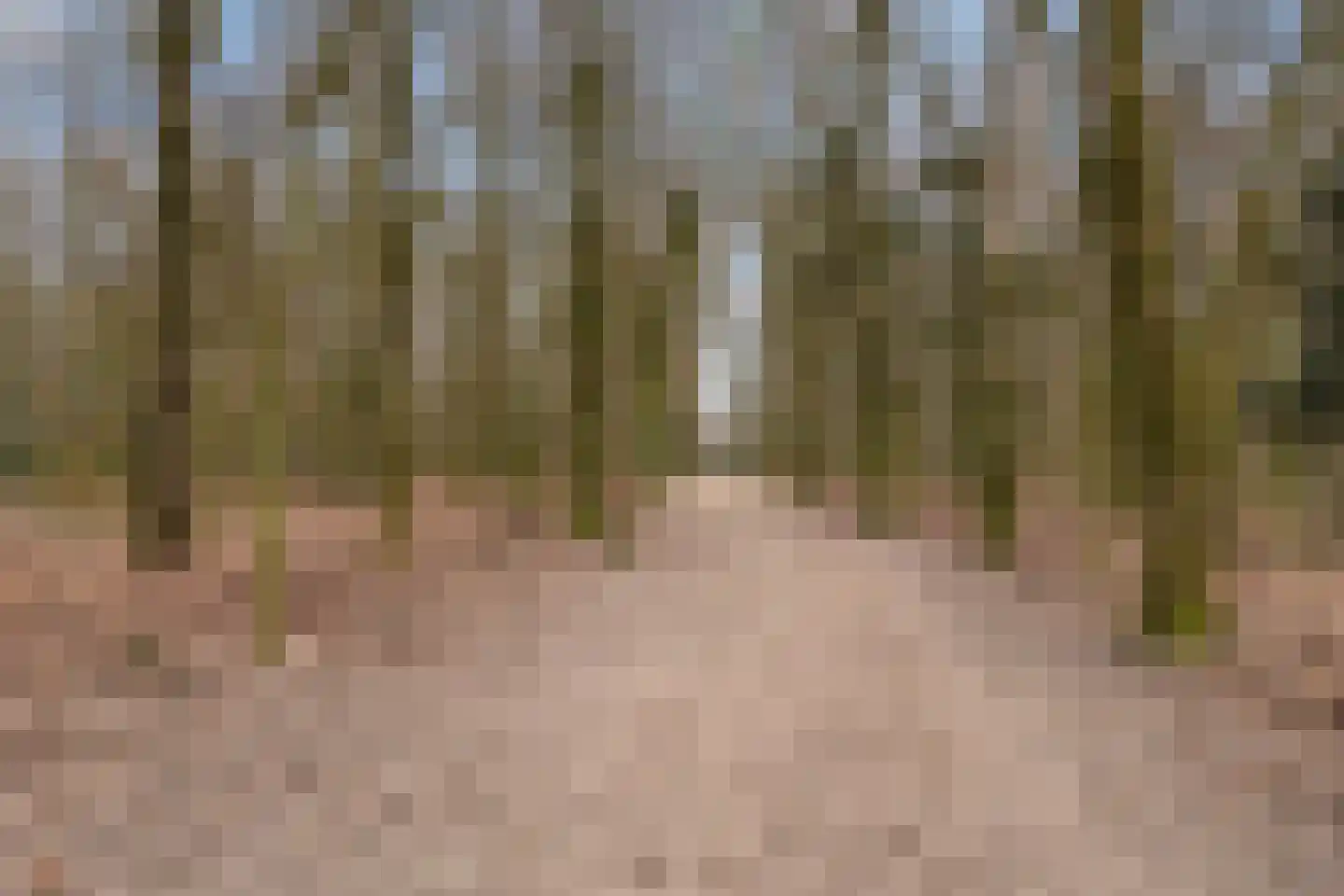 Henri Dunantstraat 67 Dalfsen thumbnail 41