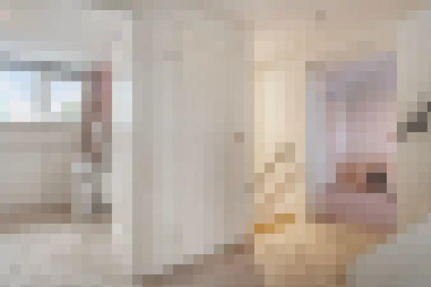 Henri Dunantstraat 7 Rijssen thumbnail 23