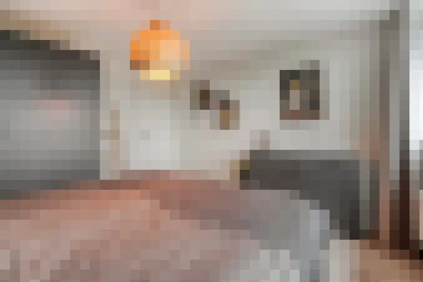 Henri Dunantstraat 7 Rijssen thumbnail 26