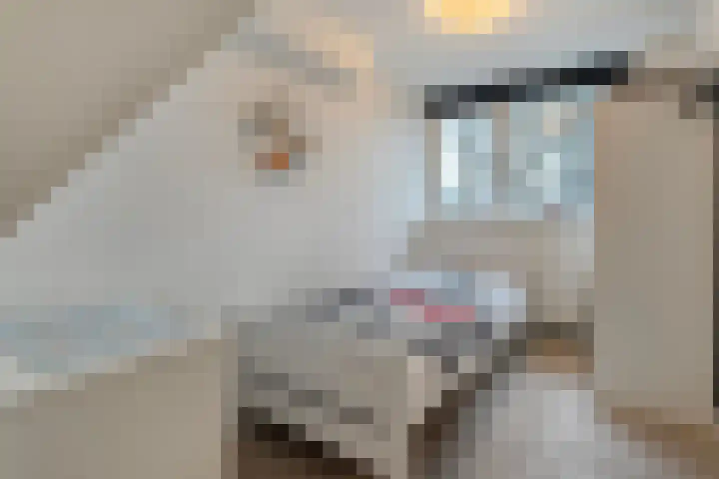 Henri Dunantstraat 7 Rijssen thumbnail 29