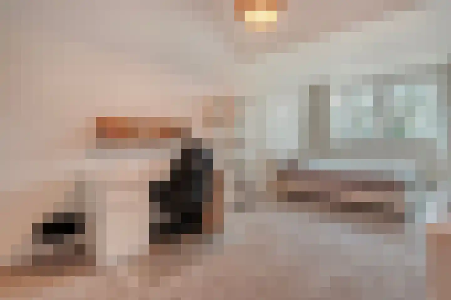 Henri Dunantstraat 7 Rijssen thumbnail 31