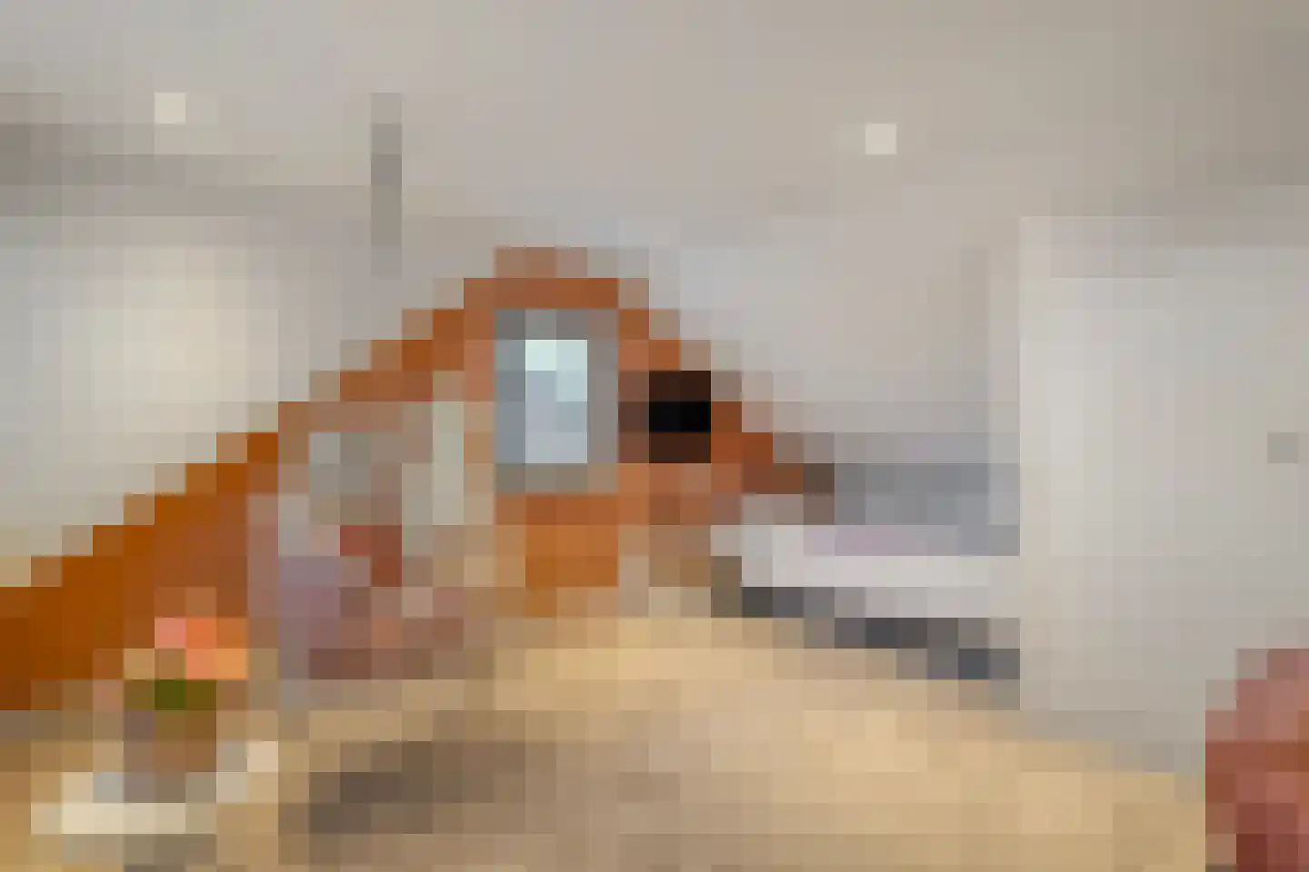 Henri Dunantstraat 7 Rijssen thumbnail 39