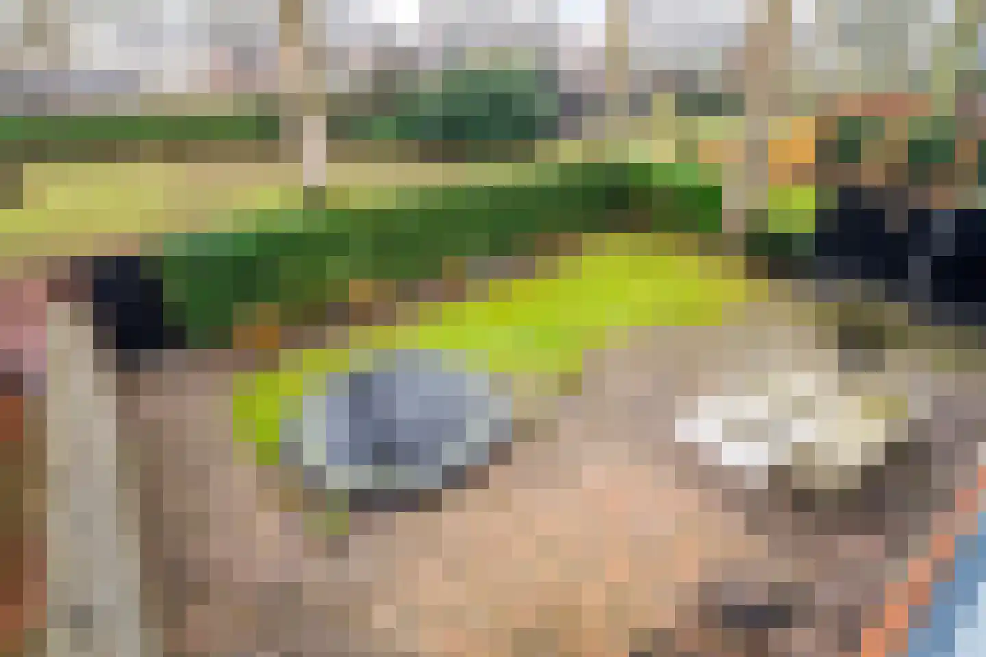 Henri Dunantstraat 7 Rijssen thumbnail 4