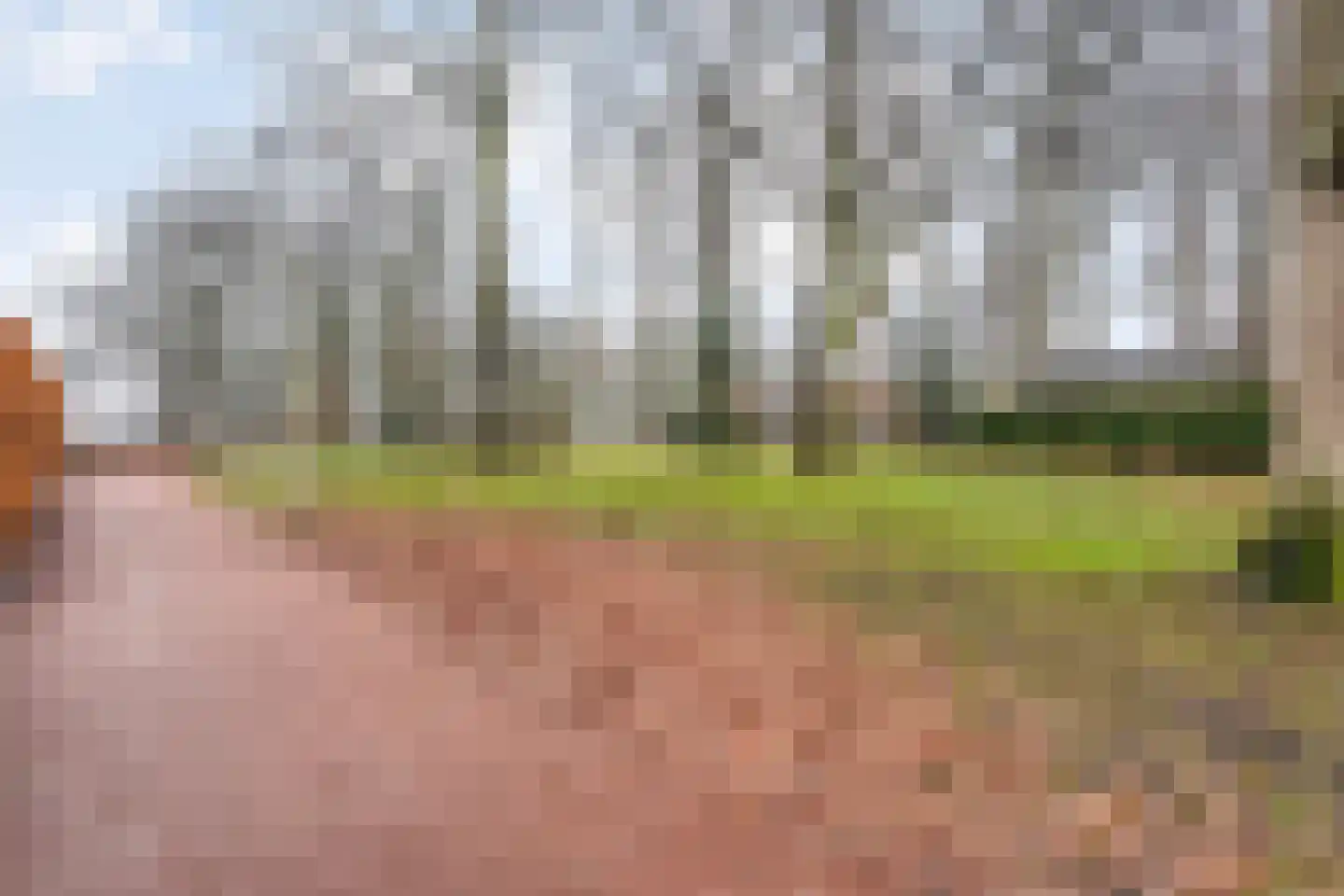 Henri Dunantstraat 7 Rijssen thumbnail 46