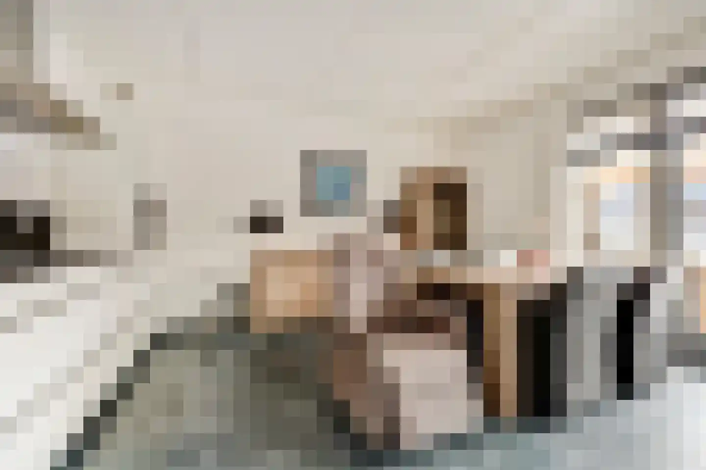 Henri Dunantstraat 7 Sint-Maartensdijk thumbnail 8