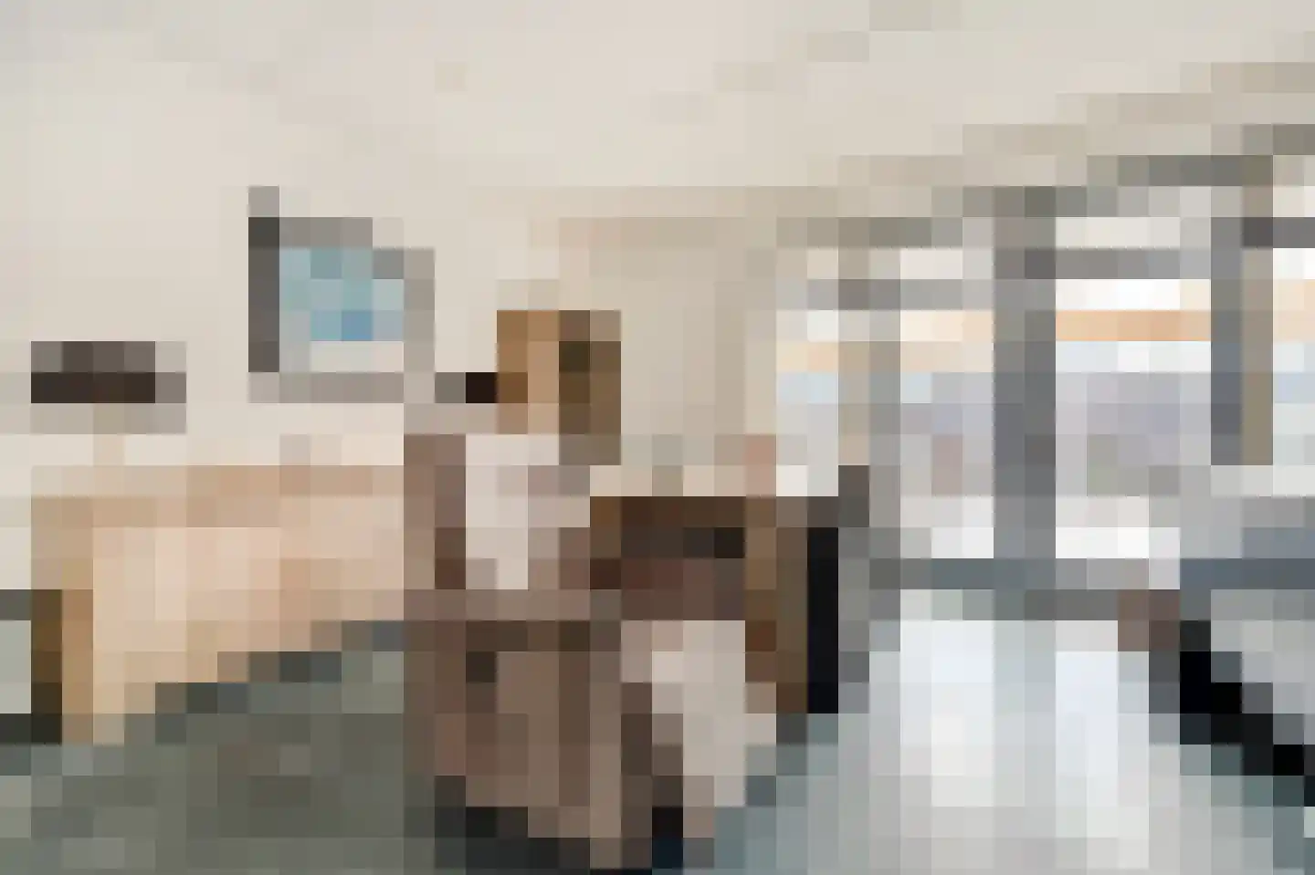 Henri Dunantstraat 7 Sint-Maartensdijk thumbnail 9