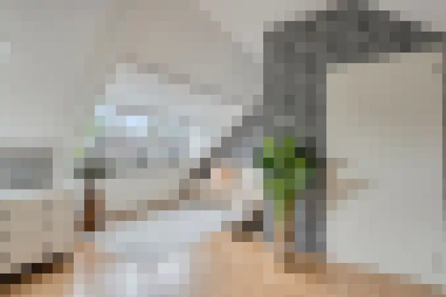 Henri Dunantstraat 91 Purmerend thumbnail 36