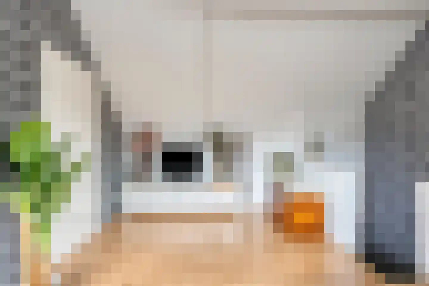 Henri Dunantstraat 91 Purmerend thumbnail 38