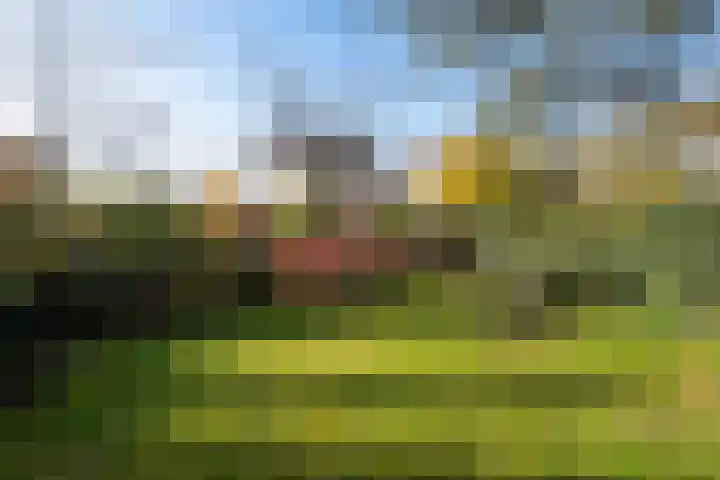 Henri Dunantstraat 93 Dalfsen thumbnail 29