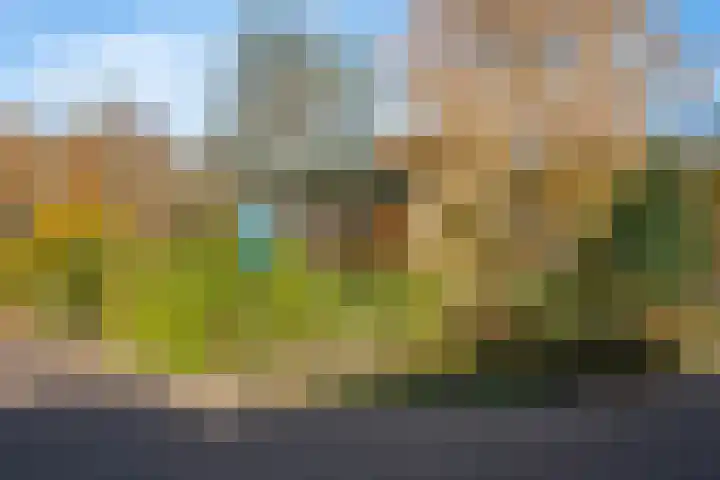 Henri Dunantstraat 93 Dalfsen thumbnail 31