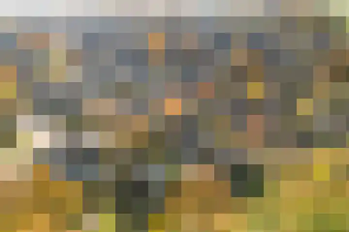 Henri Dunantstraat 93 Dalfsen thumbnail 32