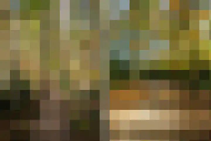 Henri Dunantstraat 93 Dalfsen thumbnail 34