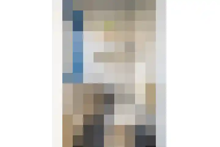 Henri Dunantstraat 93 Dalfsen thumbnail 6
