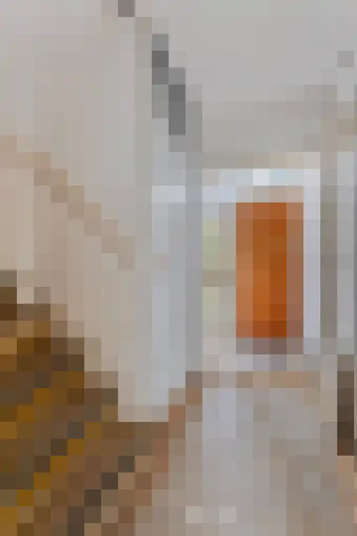 Henri Eversstraat 12 Rotterdam thumbnail 10