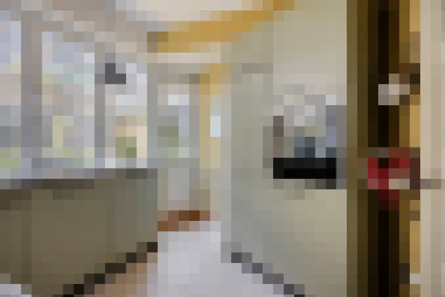 Henri Goovaertsweg 22 Maastricht thumbnail 9