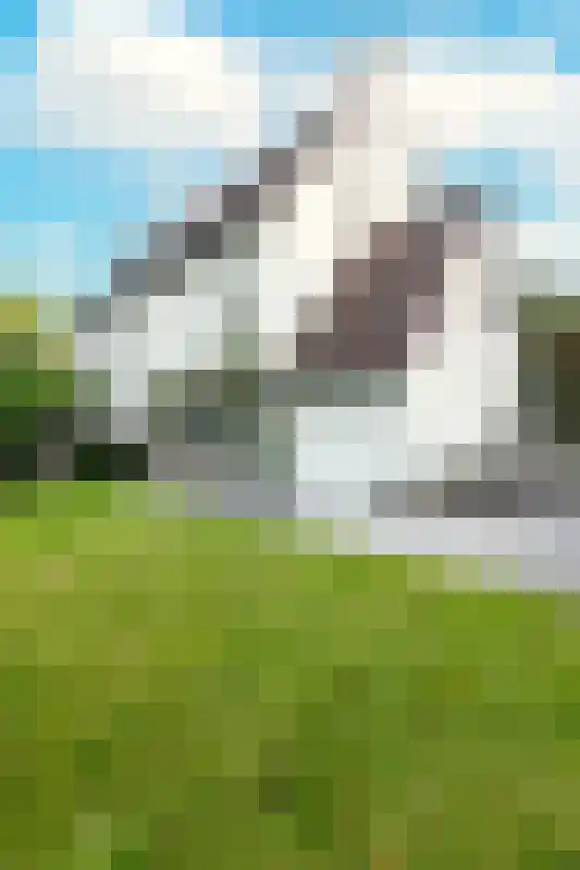 Henri Goovaertsweg 25 Maastricht thumbnail 27