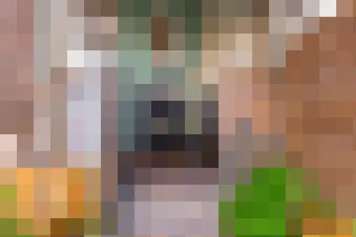Henri Hermanslaan 117 Geleen thumbnail 22