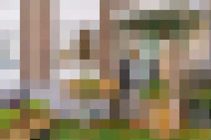 Henri Hermanslaan 117 Geleen thumbnail 23