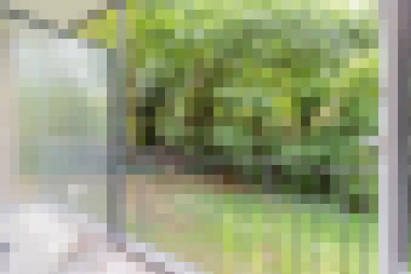 Henri Hermanslaan 129 Geleen thumbnail 19