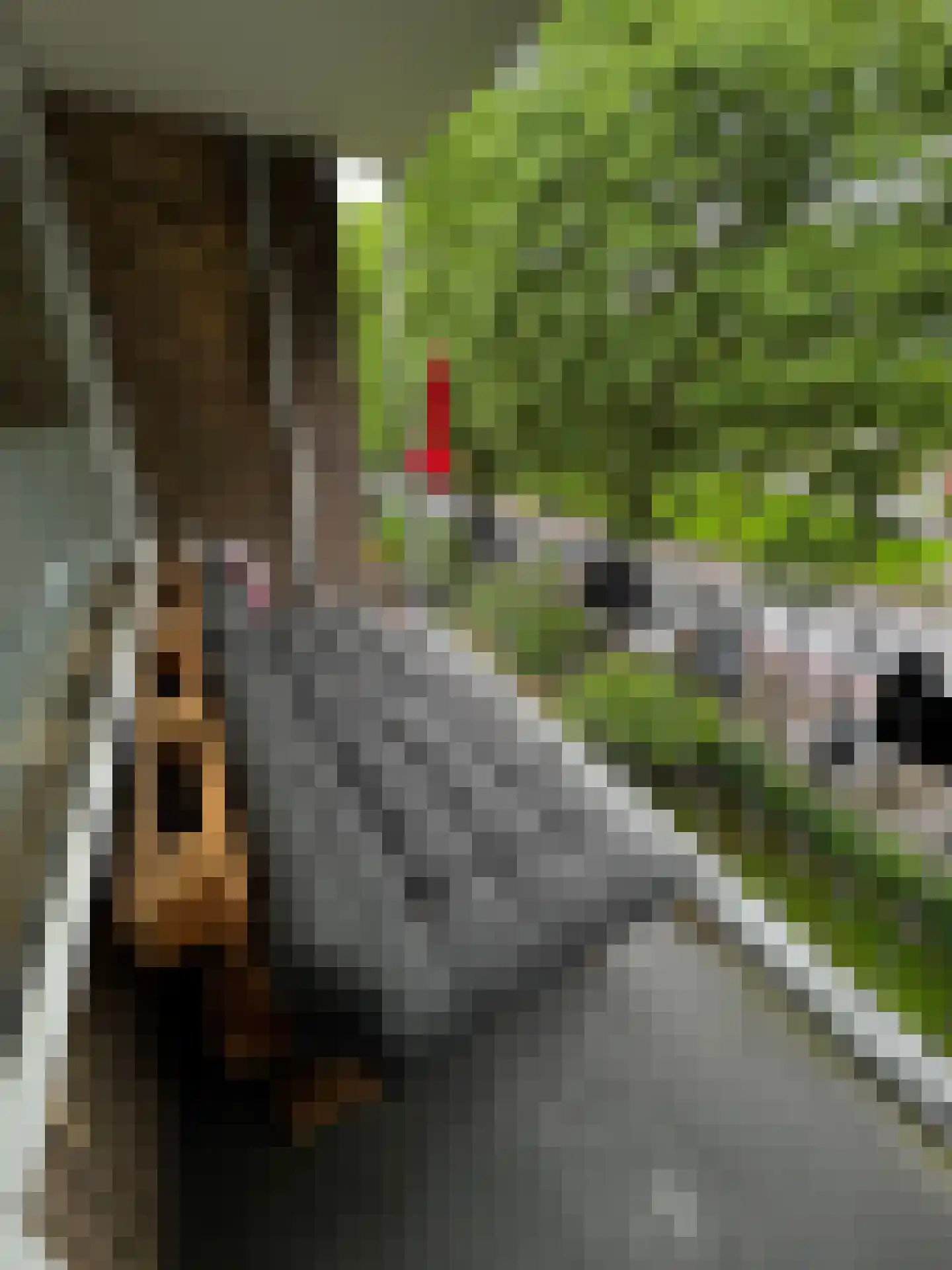 Henri Hermanslaan 152 Geleen thumbnail 13