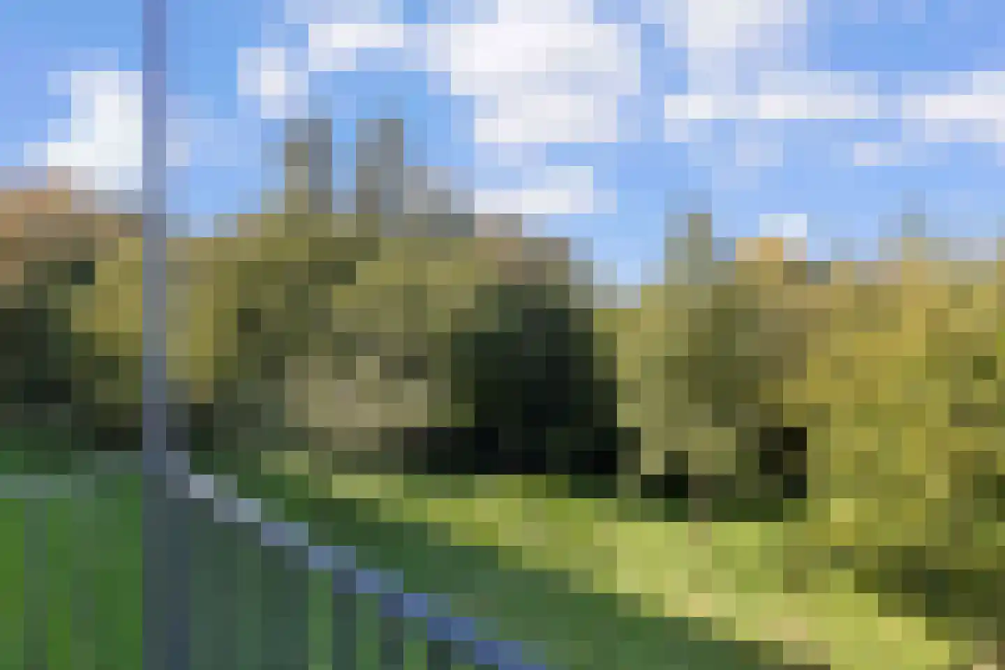 Henri Hermanslaan 163 Geleen thumbnail 19